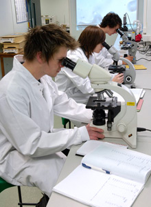 Geography students in the laboratory